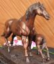 Stute Fohlen Hot Cast Bronze Horse Racing Pony Farm Skulptur Große Figur Kunst Antike Bild 8