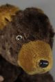 Bär Bear Teddy Teddybär Zugbär Spielzeug 20er - 40er Jugendstil ? Art Deco ? Antik Stofftiere & Teddybären Bild 1