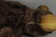 Bär Bear Teddy Teddybär Zugbär Spielzeug 20er - 40er Jugendstil ? Art Deco ? Antik Stofftiere & Teddybären Bild 3