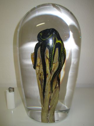 Glasskulptur / Paperweights / Briefbeschwerer / Tintenfisch - Octopus 9,  5 Kg Unik Bild