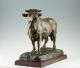 Animalier T.  Partier Pracht Bulle Skulptur 1900 Stier Bull Statue Figur Bauer Bild 4