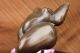 Bronzeskulptur Tribut An Botero Signiert Statue Figur Frau Von Milo Antike Bild 1