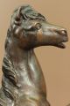 Skulptur Bronze Unterzeichnet Theodore Indianischen Jäger Büffel Antike Bild 10