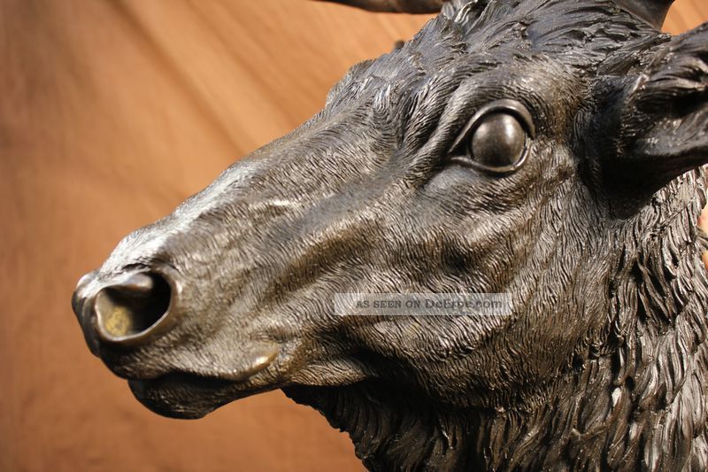 Skulptur Statue 100 Echt Bronze Rotwild Buck Wohnkultur HÄngewandtafel Antike Bild