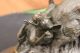 Unterzeichnet Bronze Marmor Wildschwein Hunde Zur Jagd Tier Sculpture Abbildung Antike Bild 5