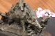 Unterzeichnet Bronze Marmor Wildschwein Hunde Zur Jagd Tier Sculpture Abbildung Antike Bild 7