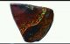 Opal Yowah Boulder Rohopal 30,  53 Ct Antike Bild 2
