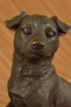 Bronzeskulptur Verspielter Dackel Groß Hundezüchter Art Deco Figur Statue Antike Bild 9