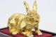 Hot Cast 24k Gold Beschichtet Bunny Geschenk Idee Bronze Museum Qualität Antike Bild 6