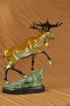 Hot Gusshandgefertigte Wilden Elch - Sammler Ausgabe/nummerierte Bronze Sculpture Antike Bild 7