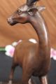 Unterzeichnet Jules Mene Jäger Elch Bock - Spiel Bronze - Skulptur Aus Marmor Figur Antike Bild 6