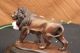 Unterzeichnet Moigniez Bronze - Löwen Skulptur Statue Figurine Figur Tiertier - Art Antike Bild 10