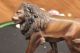 Unterzeichnet Moigniez Bronze - Löwen Skulptur Statue Figurine Figur Tiertier - Art Antike Bild 3