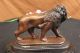 Unterzeichnet Moigniez Bronze - Löwen Skulptur Statue Figurine Figur Tiertier - Art Antike Bild 8