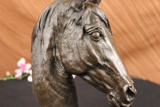 Schöne Reine Bronze Angebracht Pferdestatue Büste Skulptur Kunst Deko Figur Lrge Bild