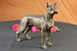 Herrlicher Boxer Hund Bronze Skulptur Für Haus Oder Garten Figur Dekoration Bild