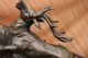 Elch Bronzeskulptur Signiert Hirsch Rentier Karibu Dekor Antike Bild 8