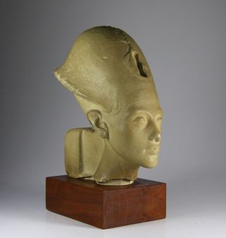 Büste Des Akhenaton Echnaton Museumsreplik 20.  Jahrhundert Stuck Holz Ägypten Bild