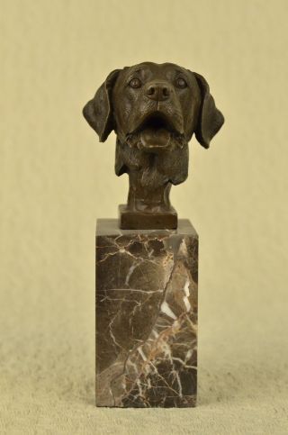 EntzÜckend Labrador Retriever Büste Bronze Skulptur Art Deco Haustier Figur Bild