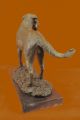 Bronze Skulptur Mit Marmor Sockel Labrador Retriever Vogel Jagd Auszeichnung Antike Bild 5
