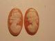 Paar 2 Alte Antike Gemme Kamee Cameo Muschel Ungefasst Für Ohrringe Brosche Ring Schmuck nach Epochen Bild 1