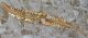 Antikbrosche In Aus 18kt 750 Gold Nadel Blatt Gold Brosche Mit Diamant Brosche Broschen Bild 3