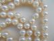 Vintage 2 Reihige Kette 9 Mm Ayakoya - Perlen Verschluss 585 Gold Diamantbesatz Ketten Bild 4