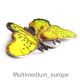 Silber Brosche Schmetterling Emaille 60er Jahre Butterfly Brooch Enamel Broschen Bild 7
