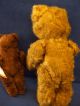 Teddy Antik Bär Gruß Aus Berlin 2 Stück Stofftiere & Teddybären Bild 3