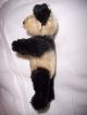 Steiff Panda,  9,  5 Cm,  60er Jahre,  Gegliedert,  Selten Ohne Kfs Steiff Bild 3