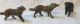Dachbodenfund_14 Uralte Elastolin Tiere Masse_wolf_pfau_strauß_tapir_bär_affe Ua Elastolin & Lineol Bild 5