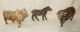 Dachbodenfund_14 Uralte Elastolin Tiere Masse_wolf_pfau_strauß_tapir_bär_affe Ua Elastolin & Lineol Bild 7