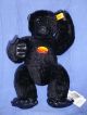 Steiff Affe Gorilla - Für Mbi - Nur 2001 - 30 Cm - Nr.  660634 - Rarität Steiff Bild 1