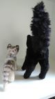 Steiff,  Katze Tapsy,  Hermann Kater Schwarz,  50er Jahre Tiere Bild 2