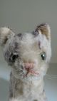 Steiff,  Katze Tapsy,  Hermann Kater Schwarz,  50er Jahre Tiere Bild 4