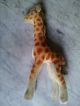 Org.  Steiff Giraffe,  Aus Den 40 - 60er Jahren Tiere Bild 2