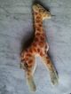 Org.  Steiff Giraffe,  Aus Den 40 - 60er Jahren Tiere Bild 3