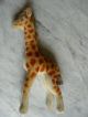 Org.  Steiff Giraffe,  Aus Den 40 - 60er Jahren Tiere Bild 8