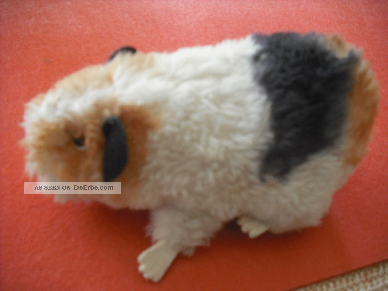 Altes Meerschweinchen Swinny Lebensgroß 20 Cm Ohne Knopf Tiere Bild