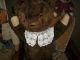 Riesiger,  Dunkelbrauner 103 Cm Großer,  Alter Teddybär - Altersgemäß Sehr Schön Stofftiere & Teddybären Bild 2