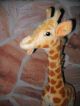Steif Giraffe 78 Cm Sammlerstück Mit Knopf Und Fahne - Steiff Bild 1