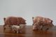 Schweine Familie,  4 Stück,  Elastolin,  Rar,  Natur,  Figur,  Tiere Elastolin & Lineol Bild 2