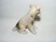 Alter Porzellan - Hund - (a.  Porzelius) - Kaufladen - Puppenhaus - Puppenstube - Ca 1:10 Original, gefertigt vor 1970 Bild 1