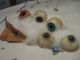 4 Paar Alte Gut Erhaltene Puppenaugen Für Schildkrötpuppen,  (, 2 Einzelne Augen) Puppen & Zubehör Bild 1