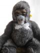 Steiff Großer Affe Gora Gorilla Orang Utan Mit Knopf Fahne 0540/60 0540 60 Steiff Bild 5