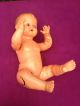 Alte Schildkröt Baby Puppe 50er Jahre Ca 50 Cm Schildkröt Bild 4