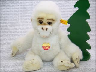 Steiff 32cm Weißer Affe Baby Gora Kfs Old Soft Gorilla Monkey All Ids 062353 Ape Bild