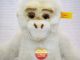 Steiff 32cm Weißer Affe Baby Gora Kfs Old Soft Gorilla Monkey All Ids 062353 Ape Steiff Bild 5