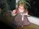 Käthe Kruse Schildkröt Puppe Größe 40 Cm In Erhaltung Schildkröt Bild 1