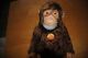 Steiff Knopf Im Ohr - Affenfamilie Jocko - 3 Stück - Alt - Gut Tiere Bild 3